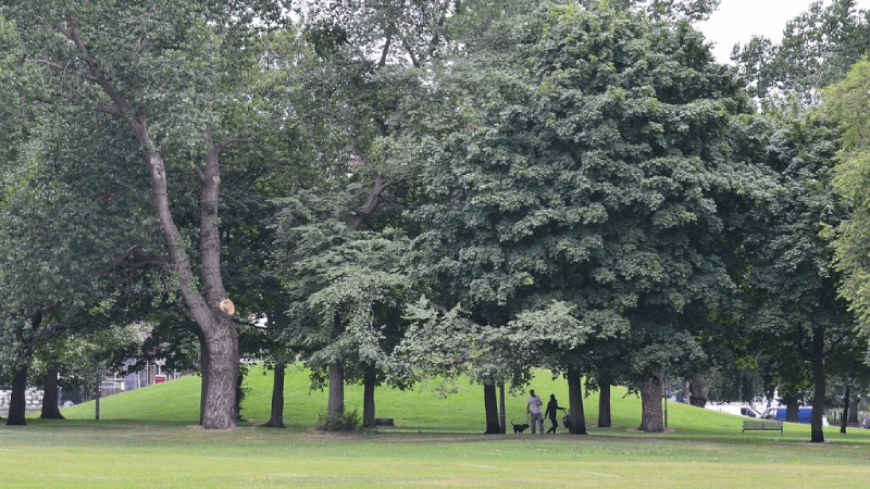 Leith Links strolls